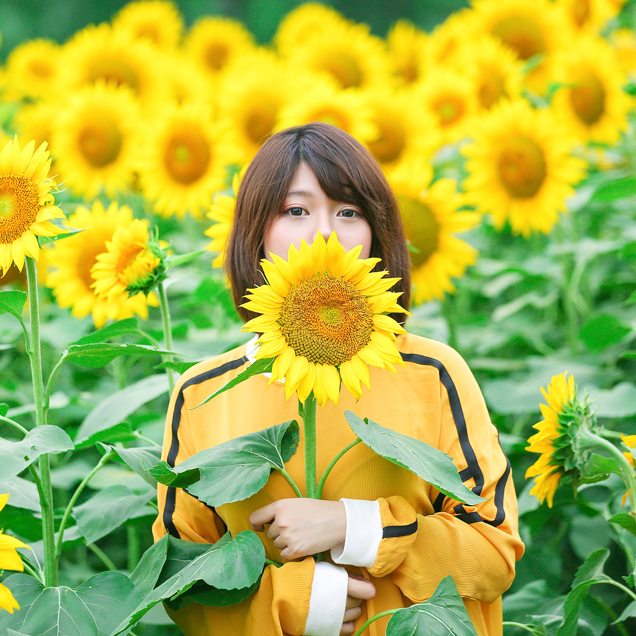 春的临终 Dying in Spring