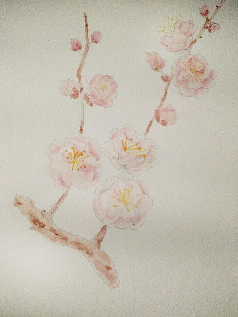 梅花（图ZMTA5MDU1MTY0） - 绘画 - 站酷设计师娃娃198802殿下原创素材 - 站酷ZCOOL