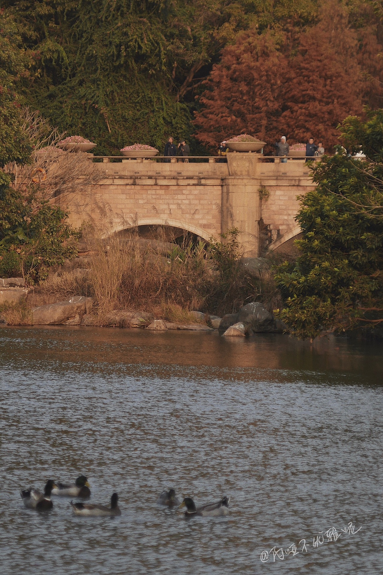 19年的十二月末很冷