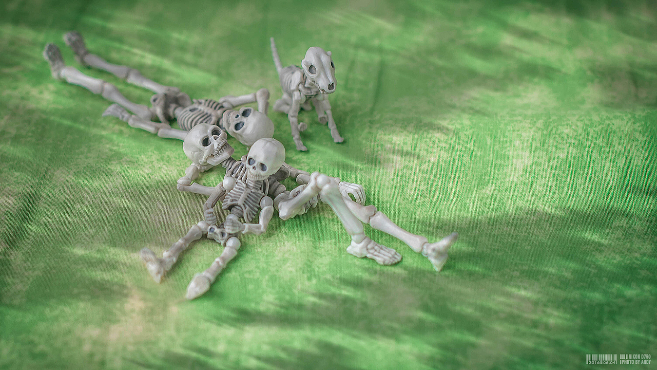 Mr. Bones （不定期更新）（图ZMTA3Njk4NzA4） - 产品摄影 - 站酷设计师andyquan511原创素材 - 站酷ZCOOL