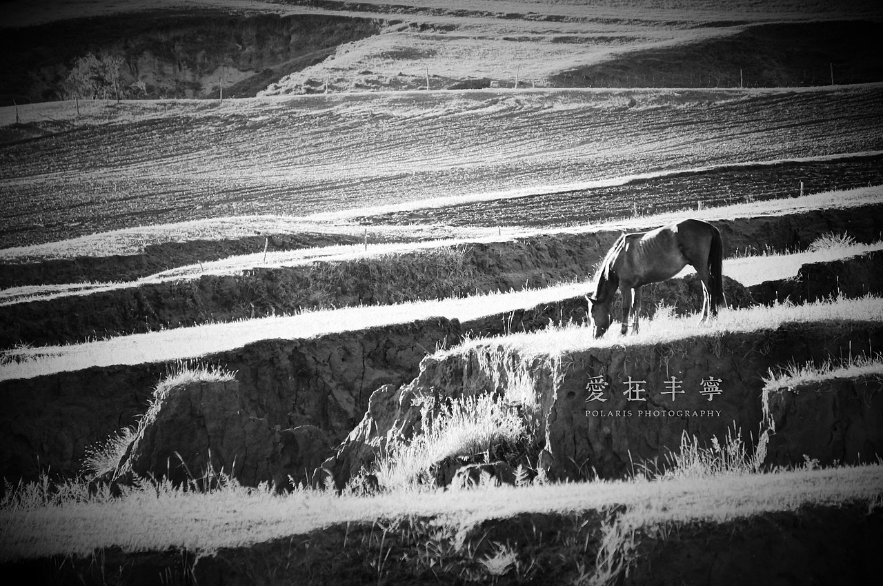 爱在丰宁#出发的勇气2014#(图ZMjExNDc5NjQ=) - 风光摄影 - 站酷设计师polarischenxin原创素材 - 站酷ZCOOL