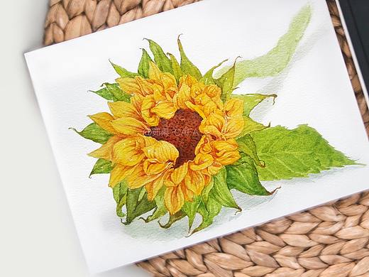 水彩小花儿（个人主页-ZMjk3NzQzOTY=） - 创作习作 - 站酷设计师茹果RG原创素材 - 站酷ZCOOL