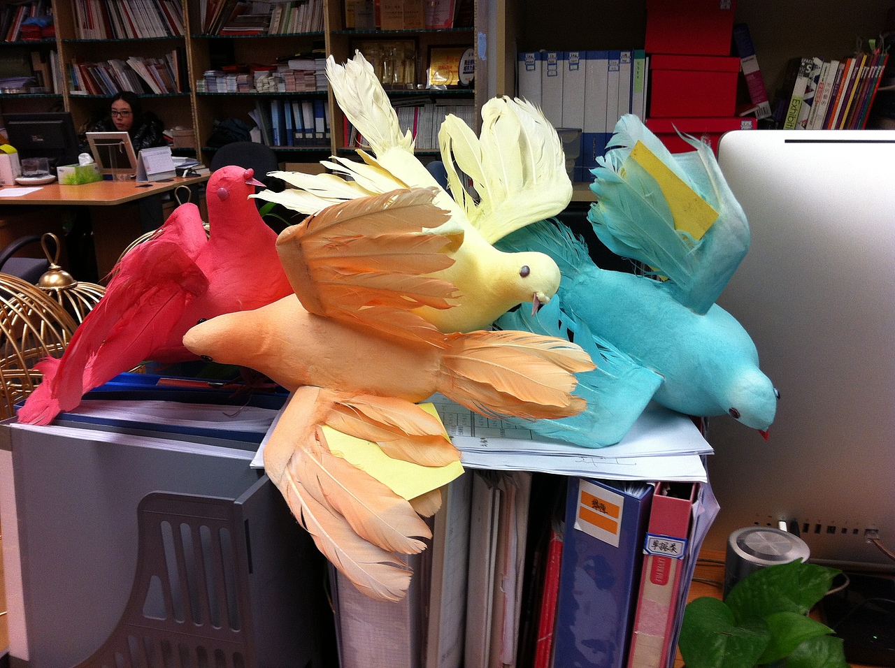 2013年商业项目春夏主题美陈设计