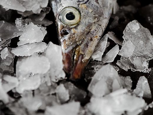 海鲜