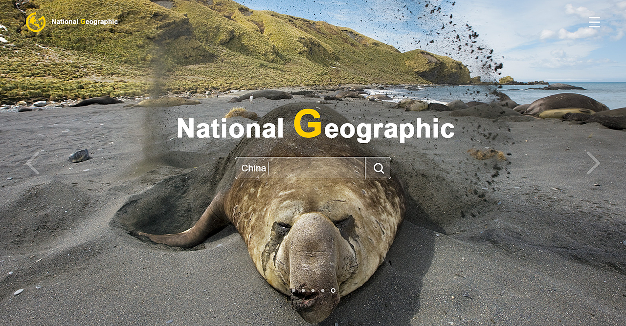 web（图ZMzI4NjY0MzI=） - 其他网页 - 站酷设计师Qslman原创素材 - 站酷ZCOOL