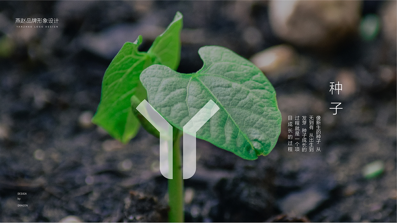 餐饮公司提案（图ZMTY0MTYxNDQ4） - 品牌 - 站酷设计师马小龙龙原创素材 - 站酷ZCOOL
