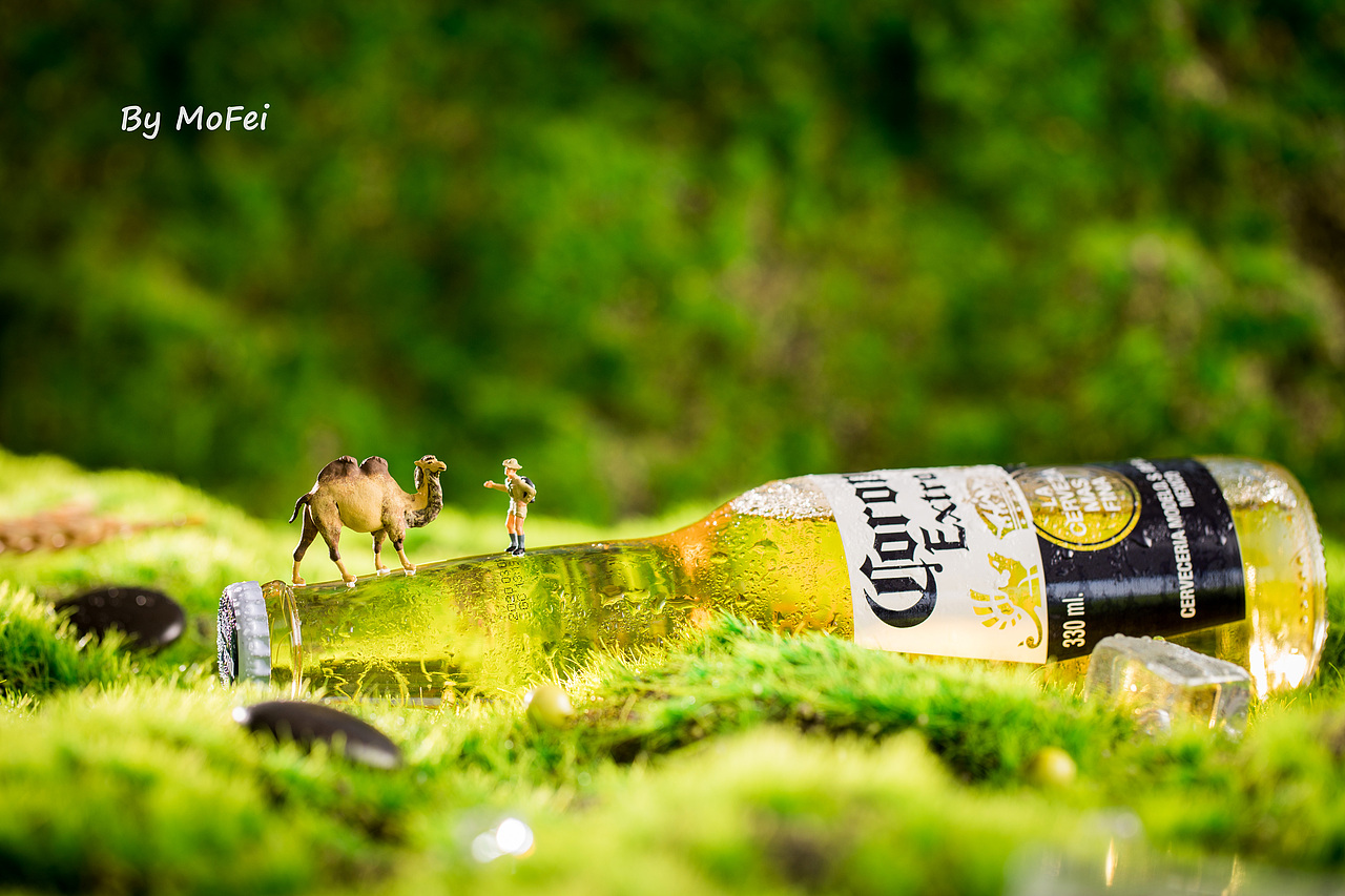 五月,迷失在绿野仙踪(洋酒拍摄)