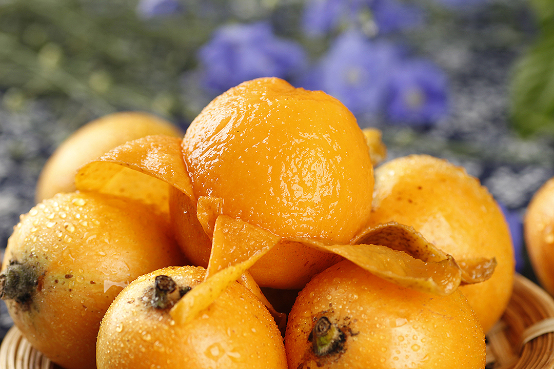 龙泉五星枇杷丨飞鸟电商专注生鲜中小电商卖家成长