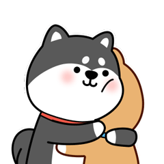 《小黑柴泡泡》表情包2.0（图ZMTkyOTk4NjY0） - 网络表情 - 站酷设计师易北原创素材 - 站酷ZCOOL