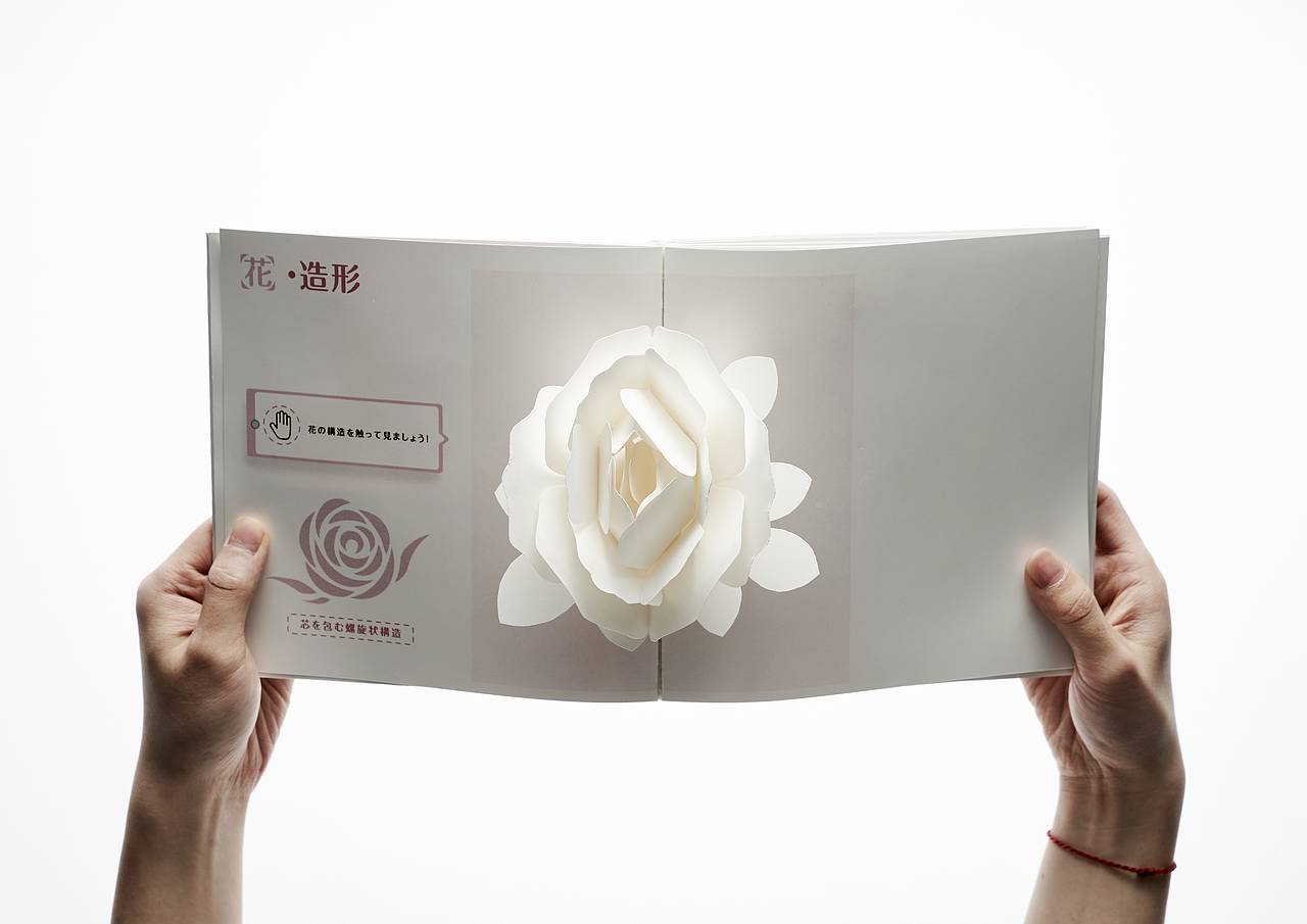 BOOK OF FLOWERS / 花之书 MAU 2020年卒業制作（图ZMjc0Mjk5Njk2） - 书籍/画册 - 站酷设计师叶无限原创素材 - 站酷ZCOOL