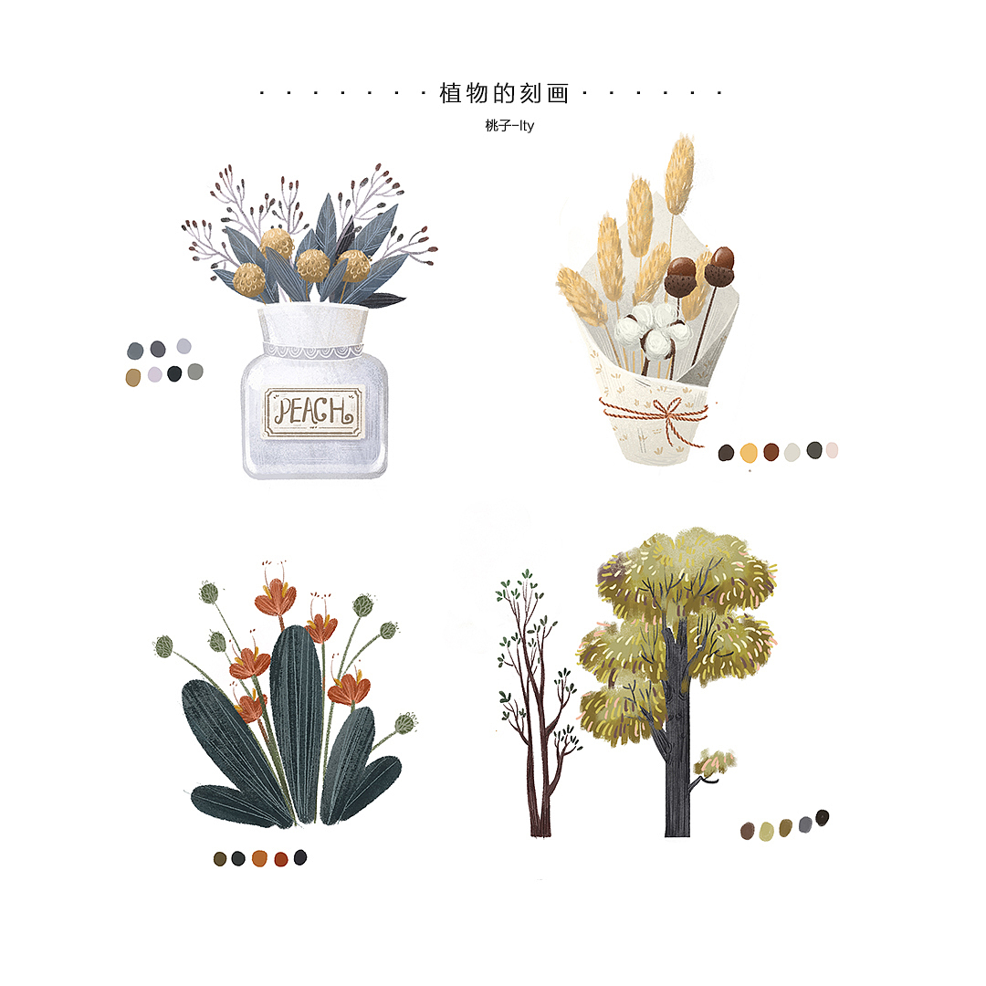 儿童插画之「静物的刻画」