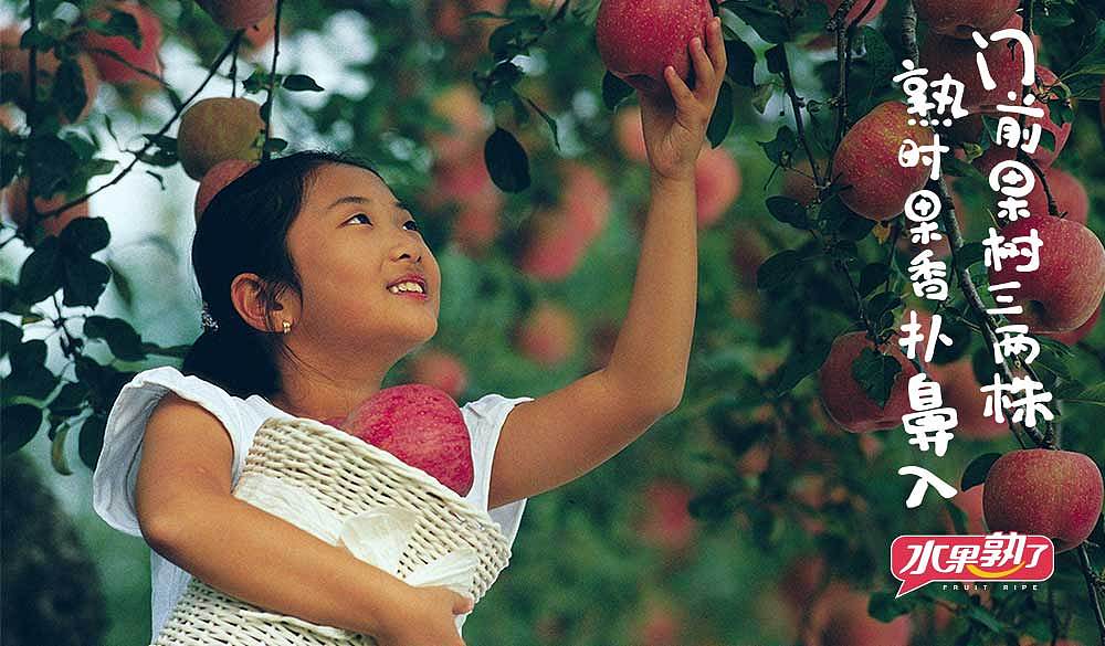 湖南VI设计系统,长沙全套VI设计手册,长沙视觉传达设计公司