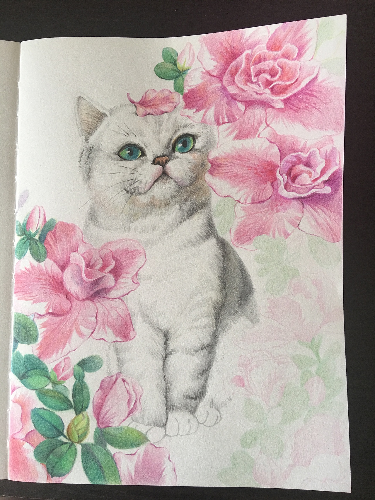 【彩铅手绘】宠物肖像系列-猫与花草（图ZMjI0NzQwMDA4） - 商业插画 - 站酷设计师北极以北821015原创素材 - 站酷ZCOOL