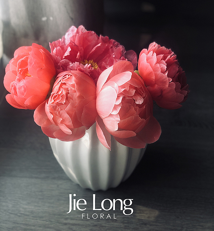 插花+摄影【1】（图ZMjM0ODUwNDk2） - 产品摄影 - 站酷设计师龙婕二创影之刃原创素材 - 站酷ZCOOL