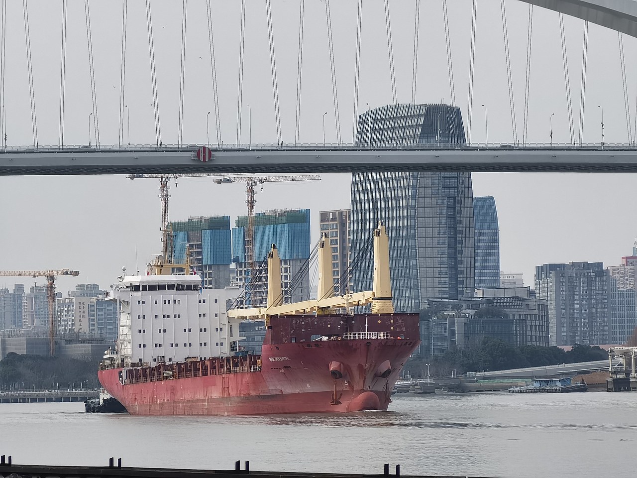 卢浦大桥&大船