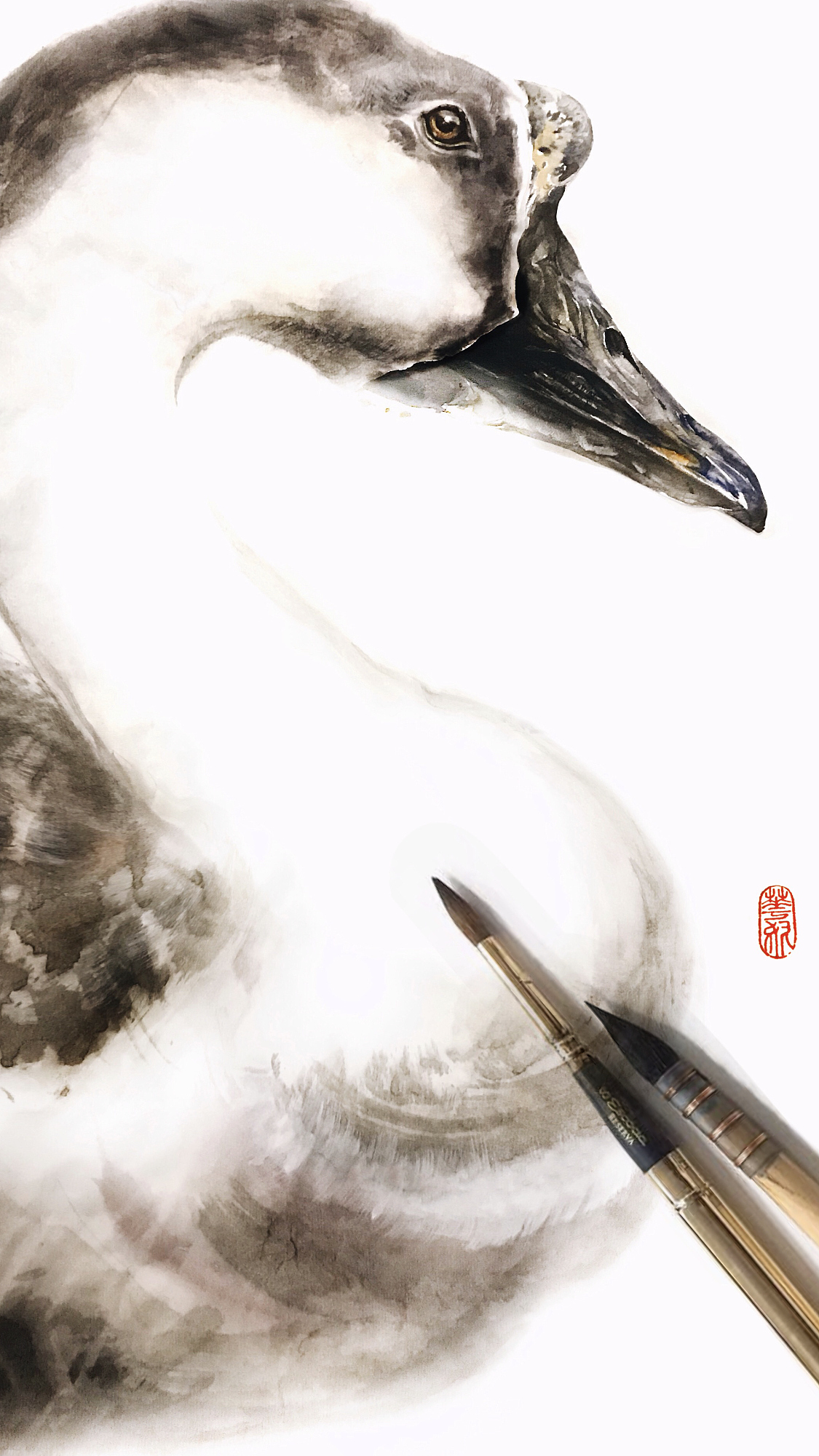 花奴百鸟图绘 No.43 家鹅（图ZMTQ3NDQ0NDUy） - 绘画 - 站酷设计师huanuart原创素材 - 站酷ZCOOL