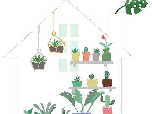 手绘植物2