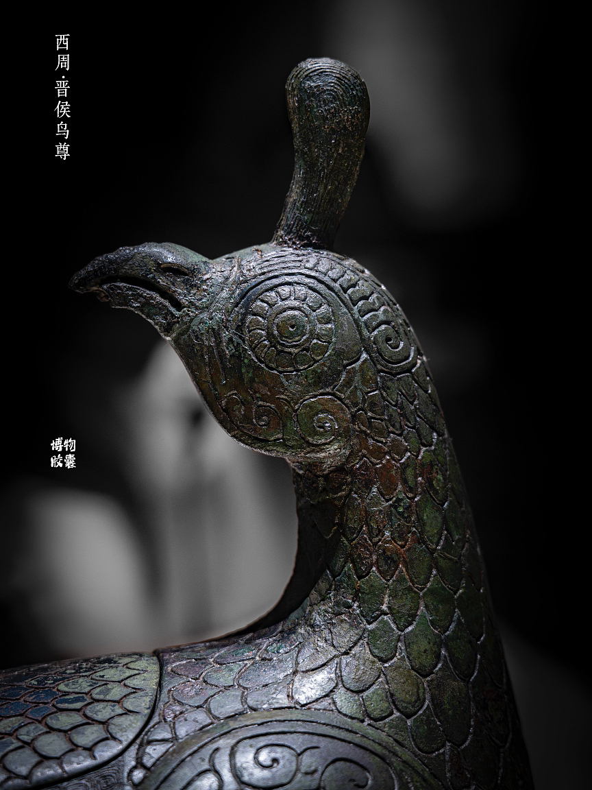 晋侯鸟尊|最能代表山西的文物,我觉得是它