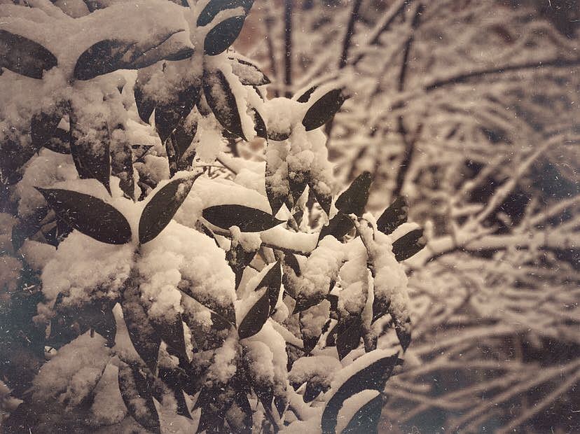 soul瞬间[6]（图ZMTA1MTY3NTU2） - 风光摄影 - 站酷设计师任意门科技原创素材 - 站酷ZCOOL