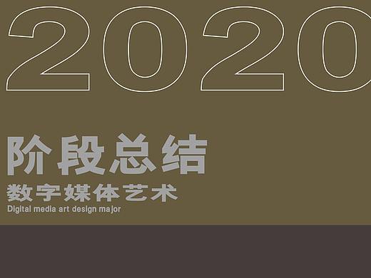2020阶段总结