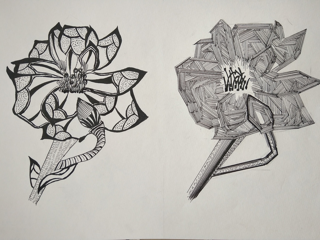 创意黑白装饰变形手绘