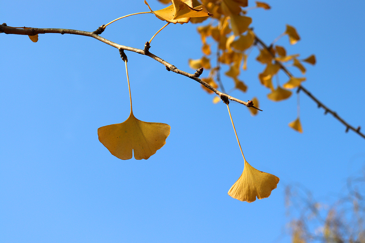 随手拍的风光（图ZMTgyMjAzNzE2） - 产品摄影 - 站酷设计师弗如Ru原创素材 - 站酷ZCOOL