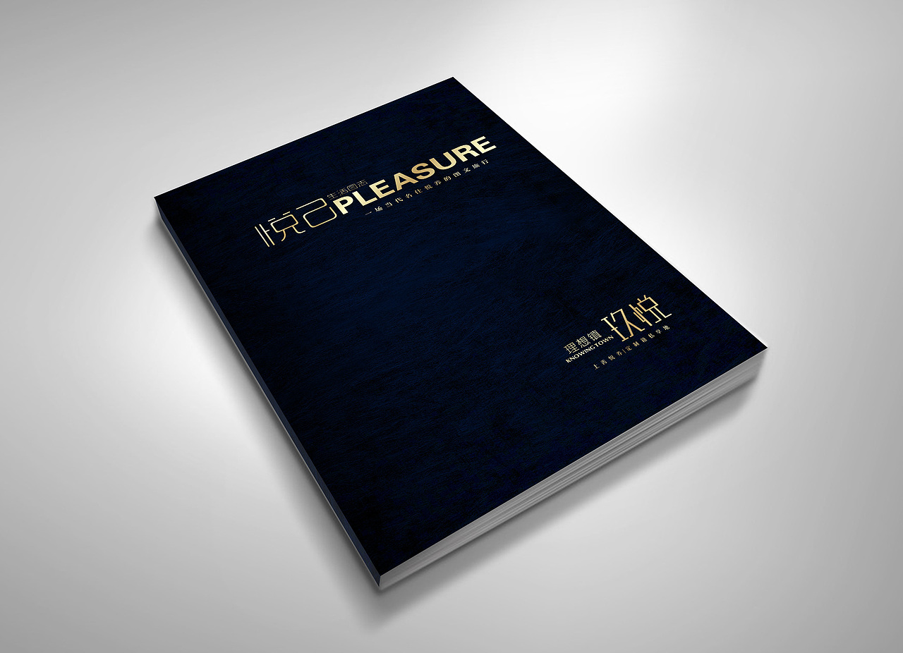 理想镇楼书一本