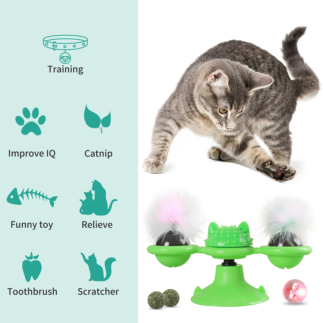 淘宝亚马逊产品拍摄A+商品主图设计视频拍摄宠物用品