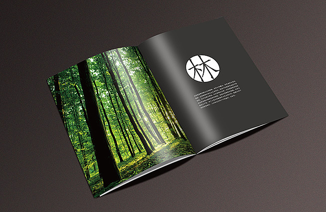 给客户初步提案的一本画册