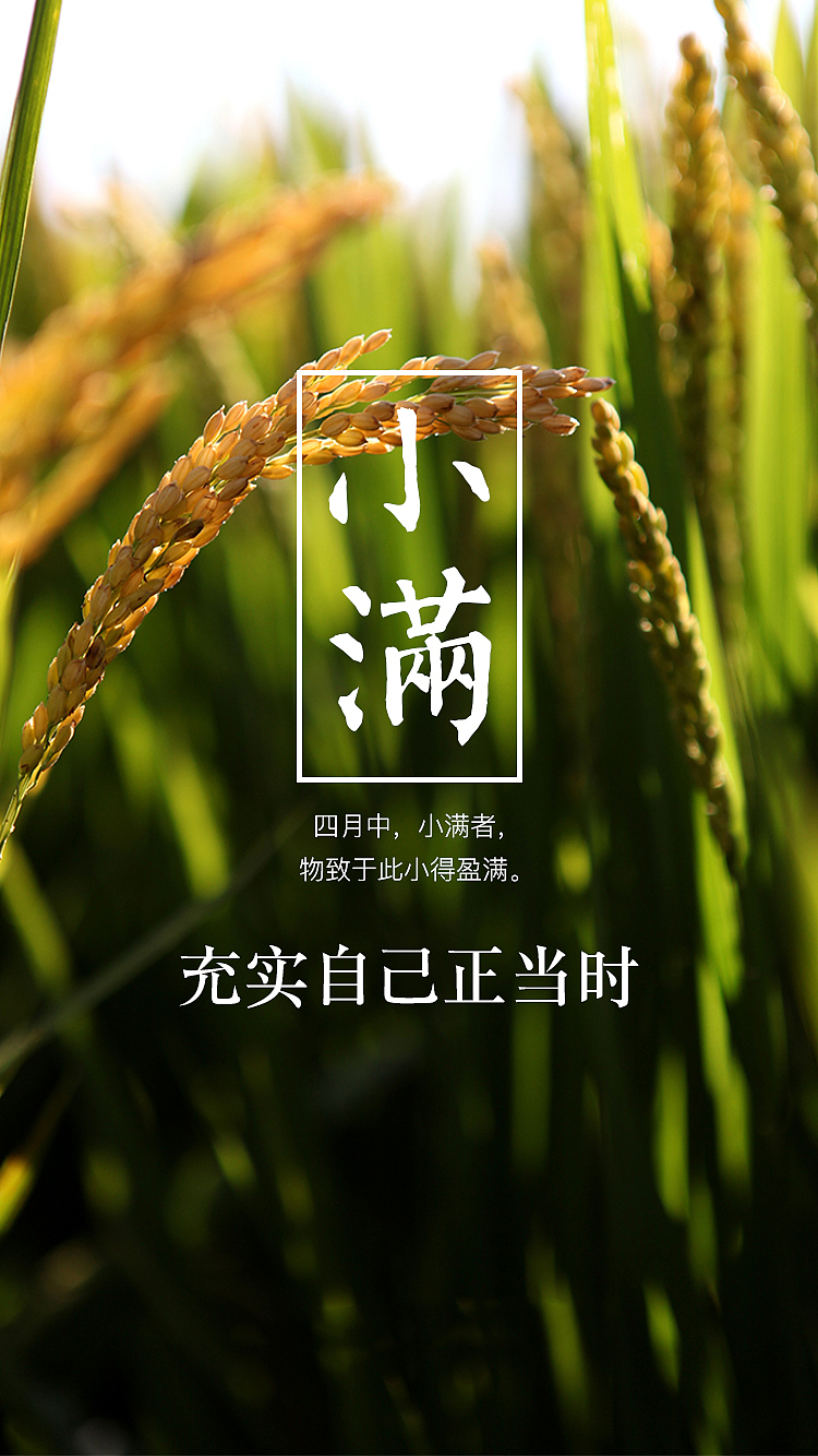 平面作品合集（图ZMTY1MTYxOTIw） - 宣传物料 - 站酷设计师浩浩乎原创素材 - 站酷ZCOOL