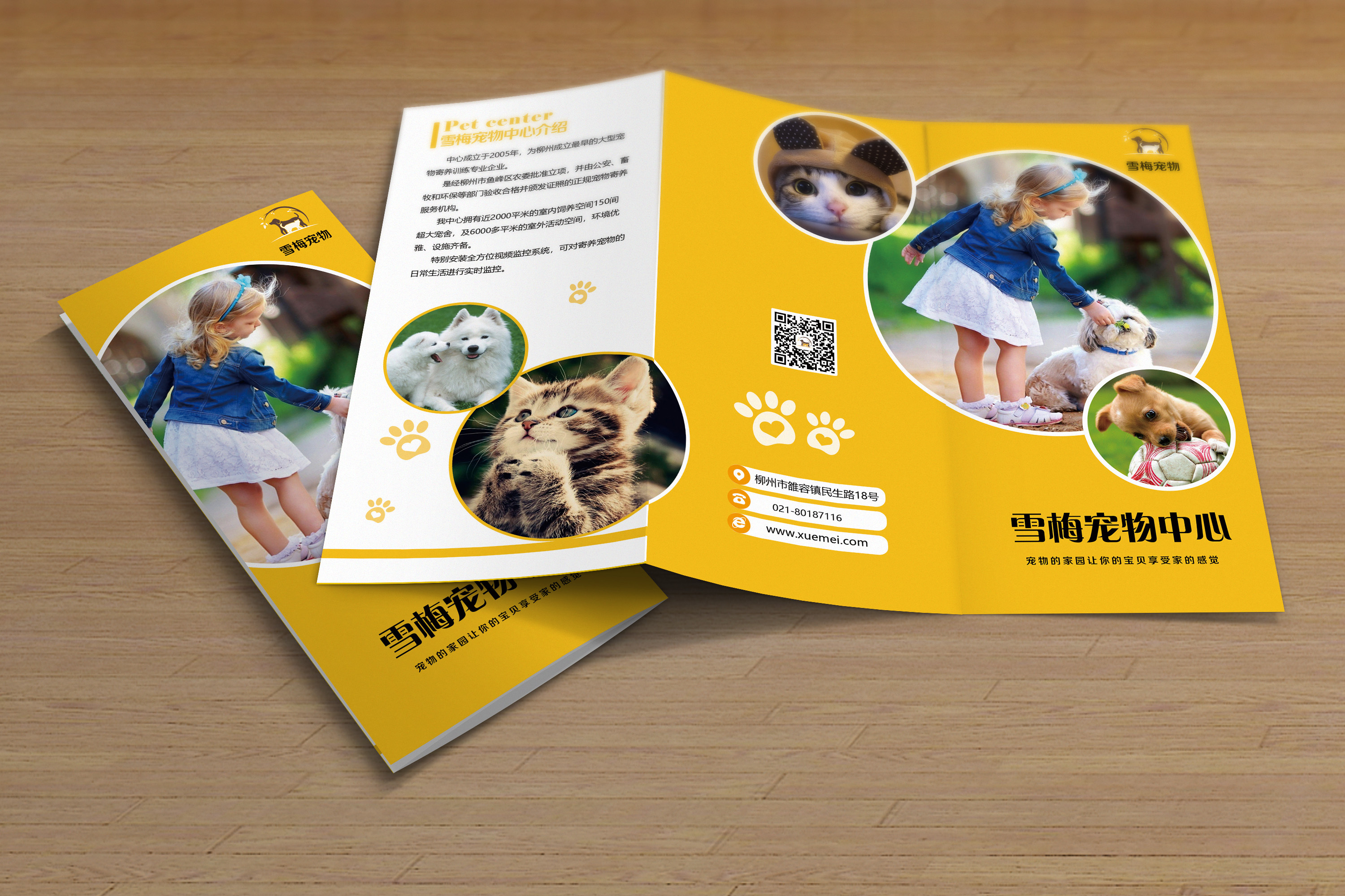 宠物店三折页