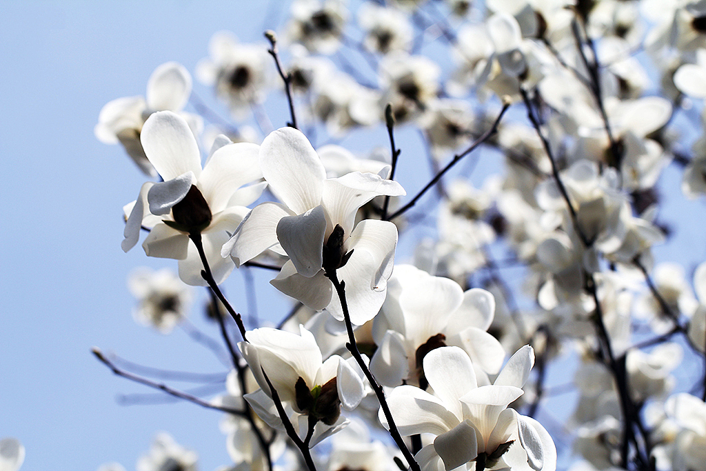 一些随意拍摄的照片，有旅途的、有生活过的城市（图ZMjMzNDc5Mjg=） - 风光摄影 - 站酷设计师Chopin萧邦原创素材 - 站酷ZCOOL