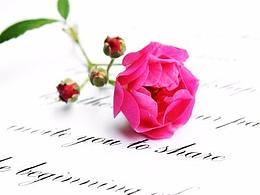 深圳活动策划内容案例