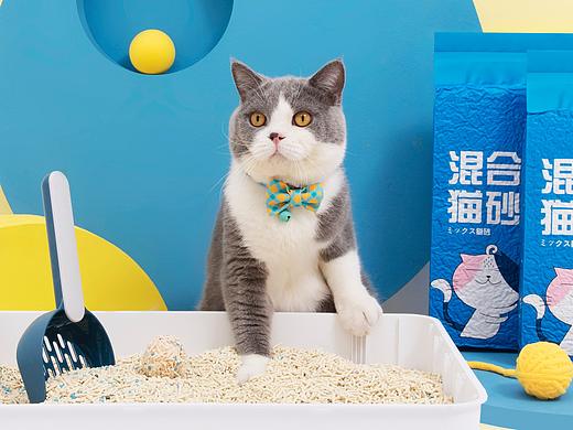 立白-倔强尾巴猫砂产品摄影