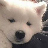 修沟勾J的头像
