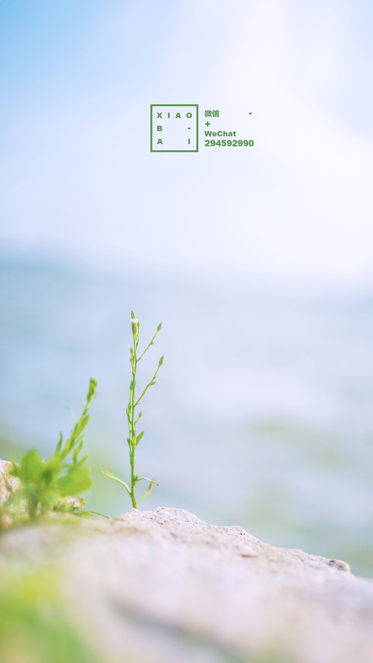 在云淡风轻的日子里想你