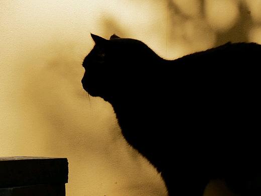 如梦如幻（个人主页-ZNjc1MjAzNDg=） - 人文/纪实摄影 - 站酷设计师下野了原创素材 - 站酷ZCOOL