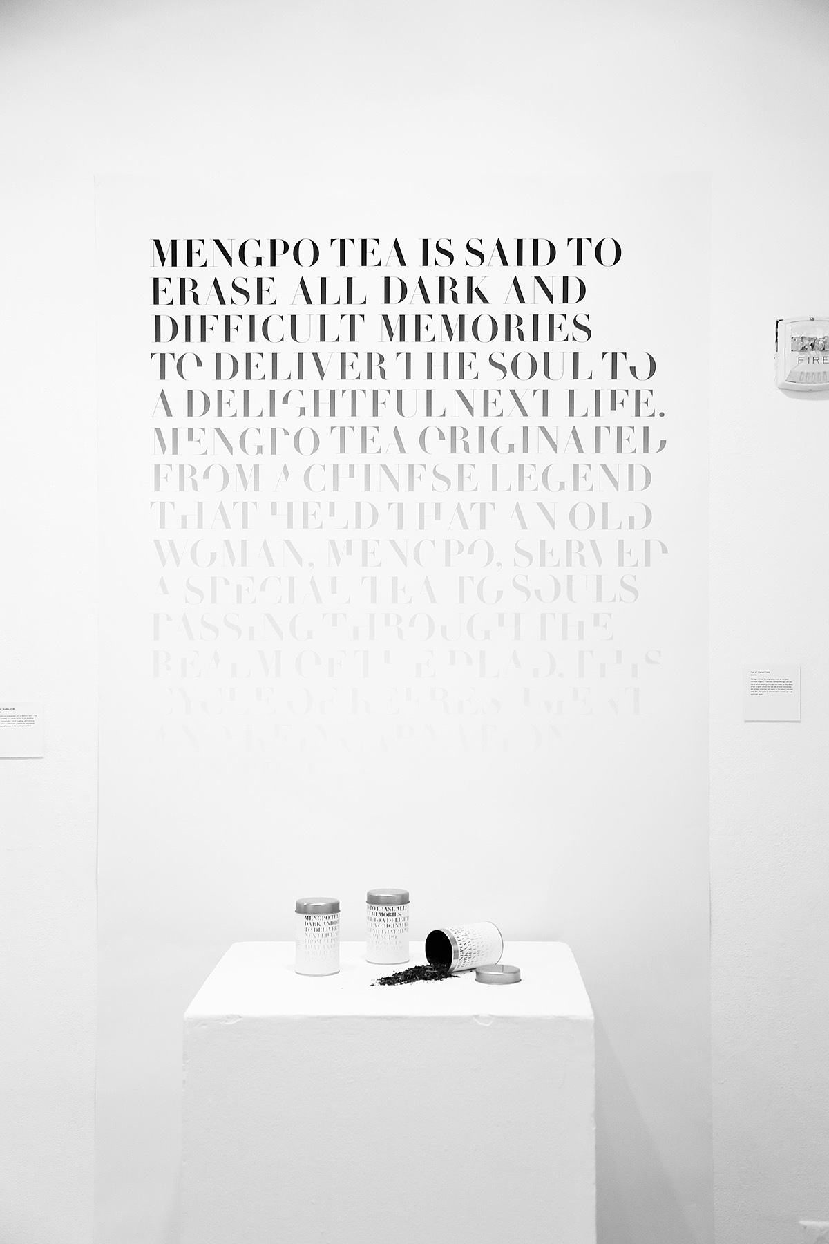 Fall Show 的最后效果