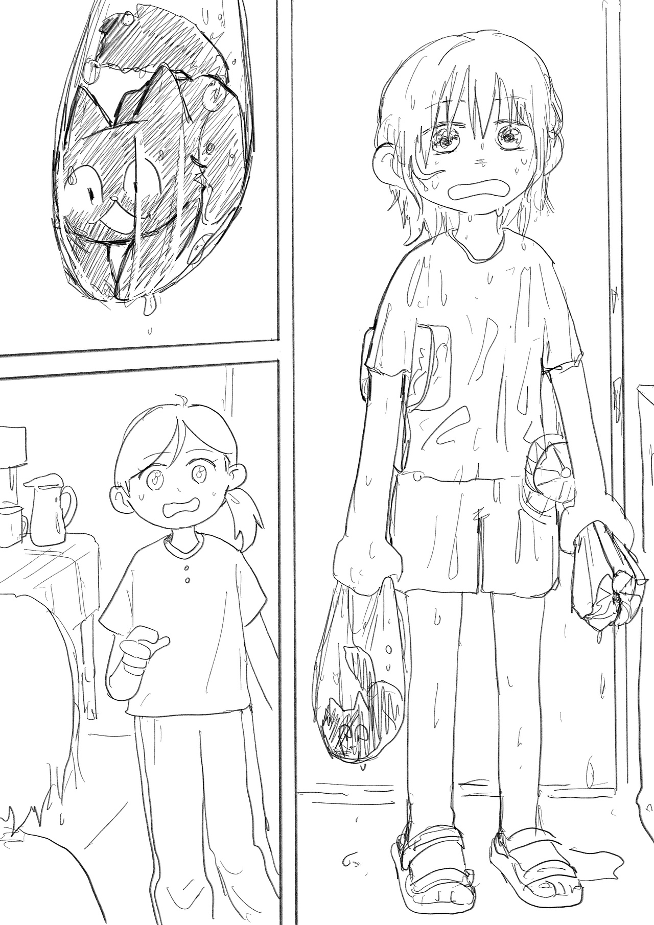 夏天、煤球和我的不舍