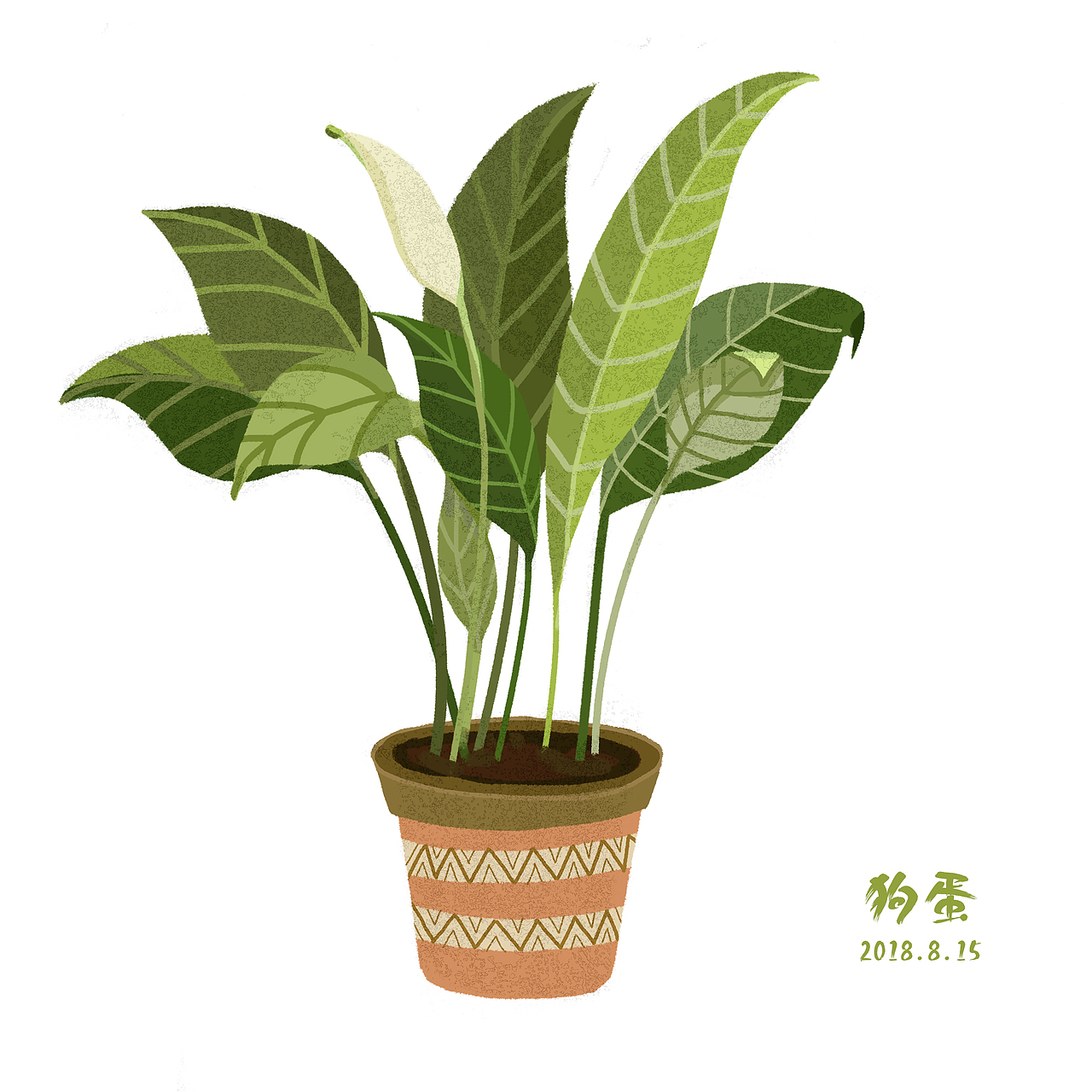 盆栽（图ZMTYwNDU3NDUy） - 商业插画 - 站酷设计师惆句原创素材 - 站酷ZCOOL