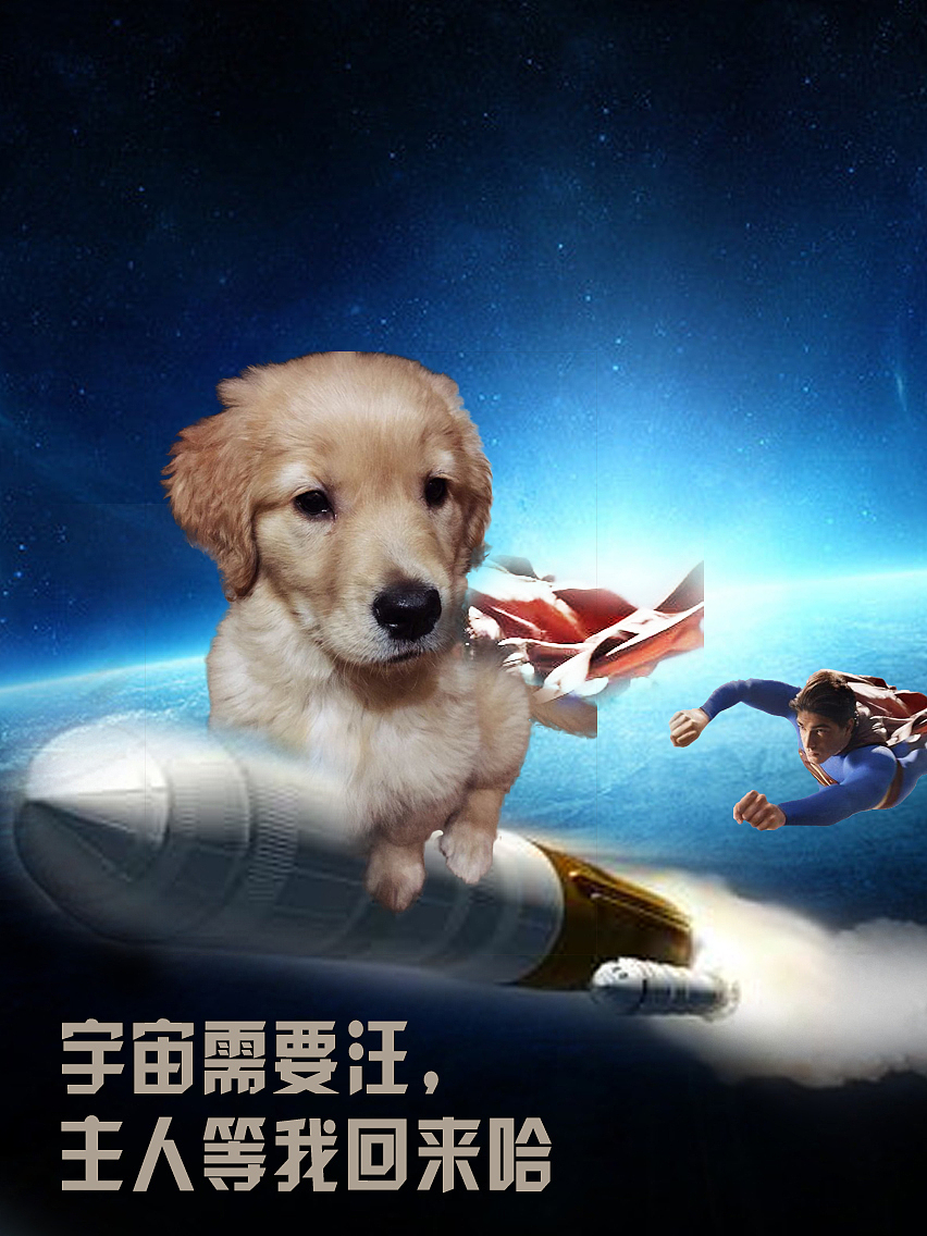 地球需要汪（图ZMjc2ODAwNTY=） - 海报 - 站酷设计师安德罗妮原创素材 - 站酷ZCOOL