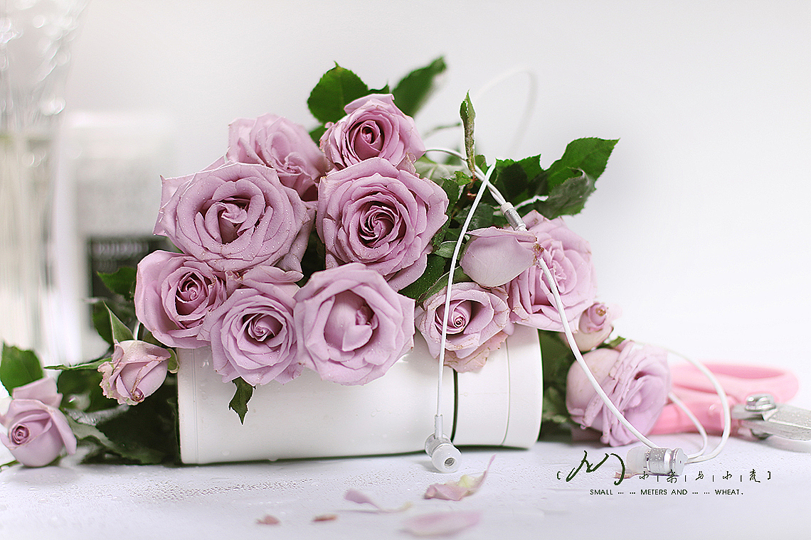 Flower-紫精灵（图ZOTc2MjE0NTI=） - 产品摄影 - 站酷设计师小米与小麦原创素材 - 站酷ZCOOL