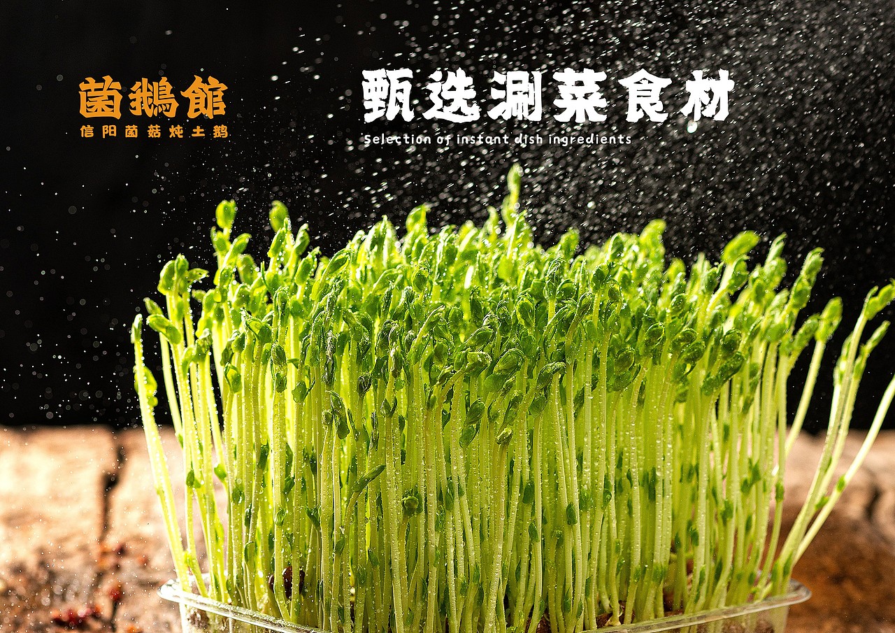 菌鹅馆（图ZMjkzNzQxMTY0） - 品牌 - 站酷设计师凡高符号原创素材 - 站酷ZCOOL