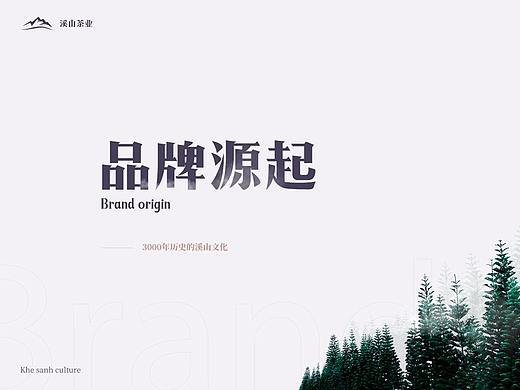 【溪山茶业】品牌网站