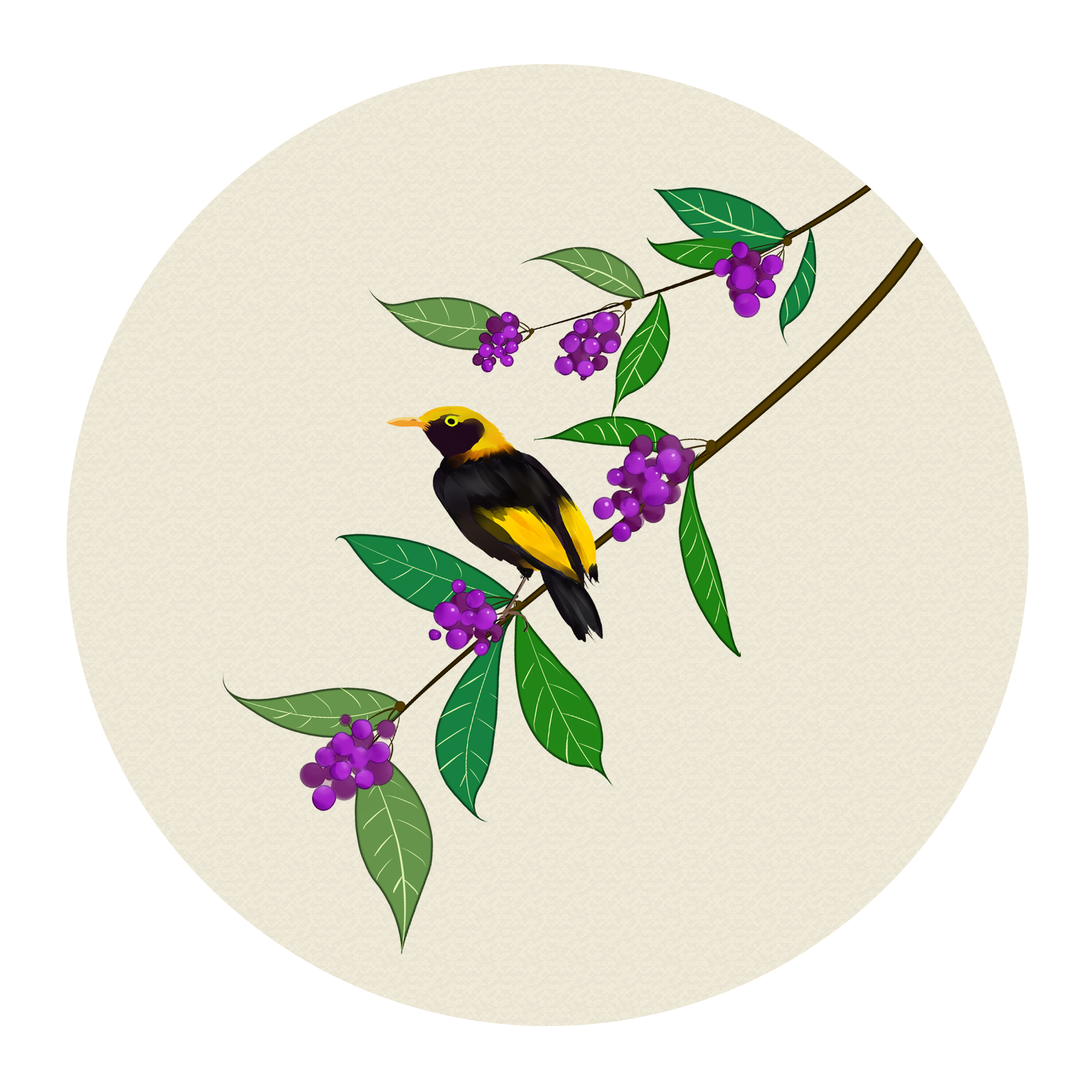 中国风花卉|插画|商业插画|极图 - 原创作品 - 站酷 (zcool)