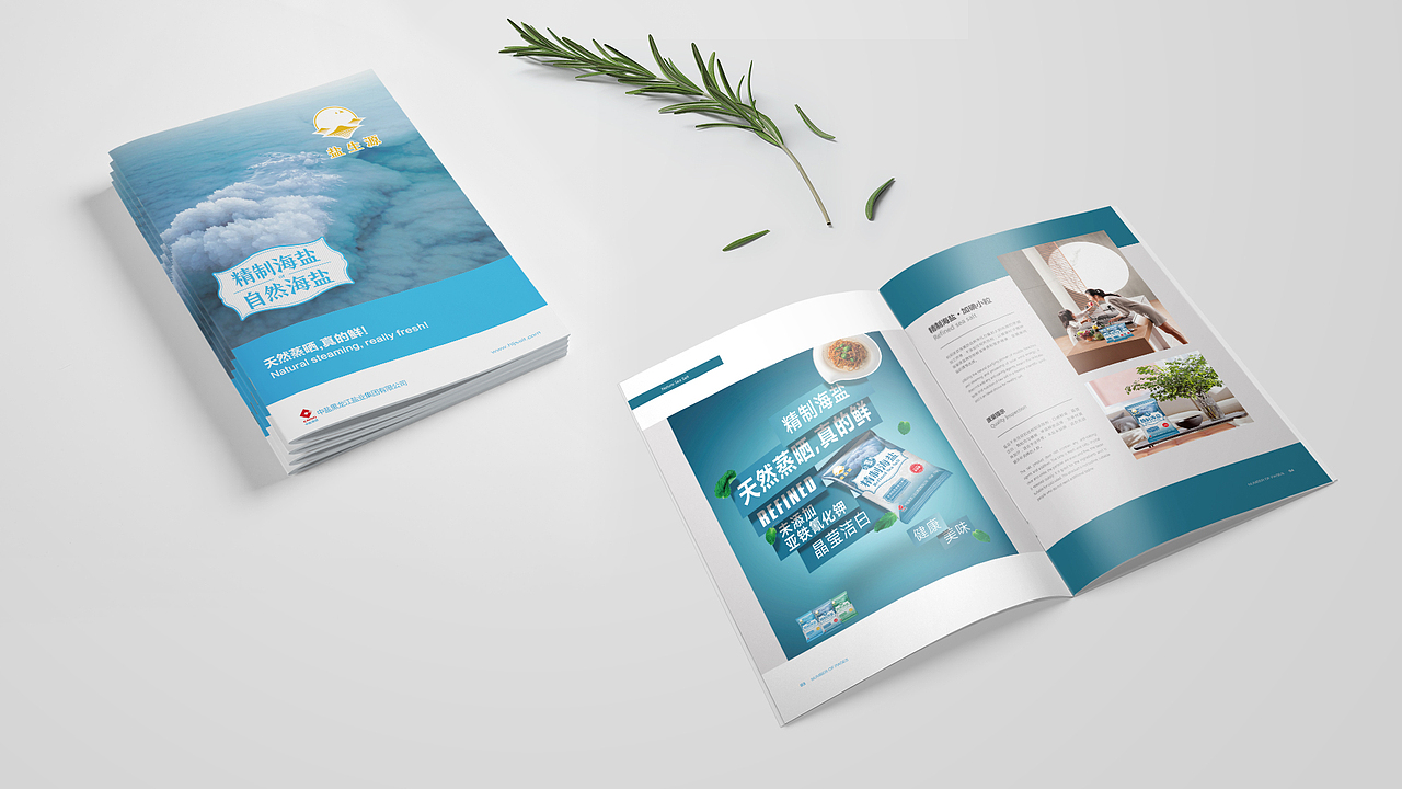 自然海盐包装（图ZMTg1NDUxMjYw） - 包装 - 站酷设计师深秋的微笑原创素材 - 站酷ZCOOL