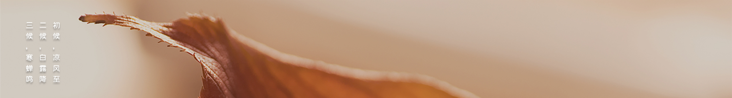 S沉沦的个人主页（封面预览） - 主页封面设置 - 站酷设计师S沉沦原创素材 - 站酷ZCOOL