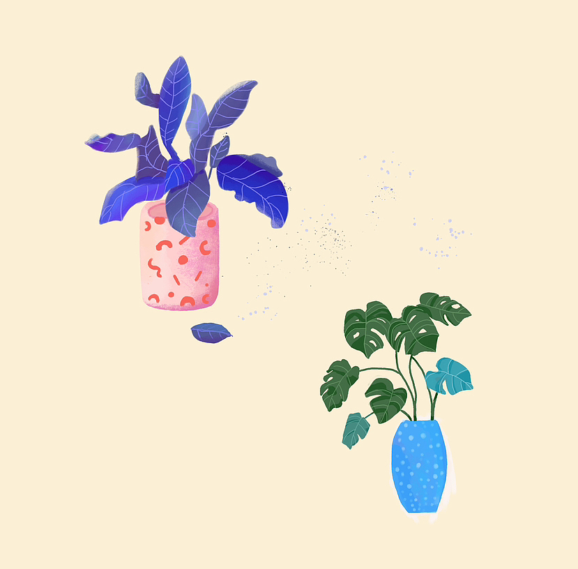 小盆栽植物（图ZMzM3ODk0ODU2） - 商业插画 - 站酷设计师张_梦涵原创素材 - 站酷ZCOOL