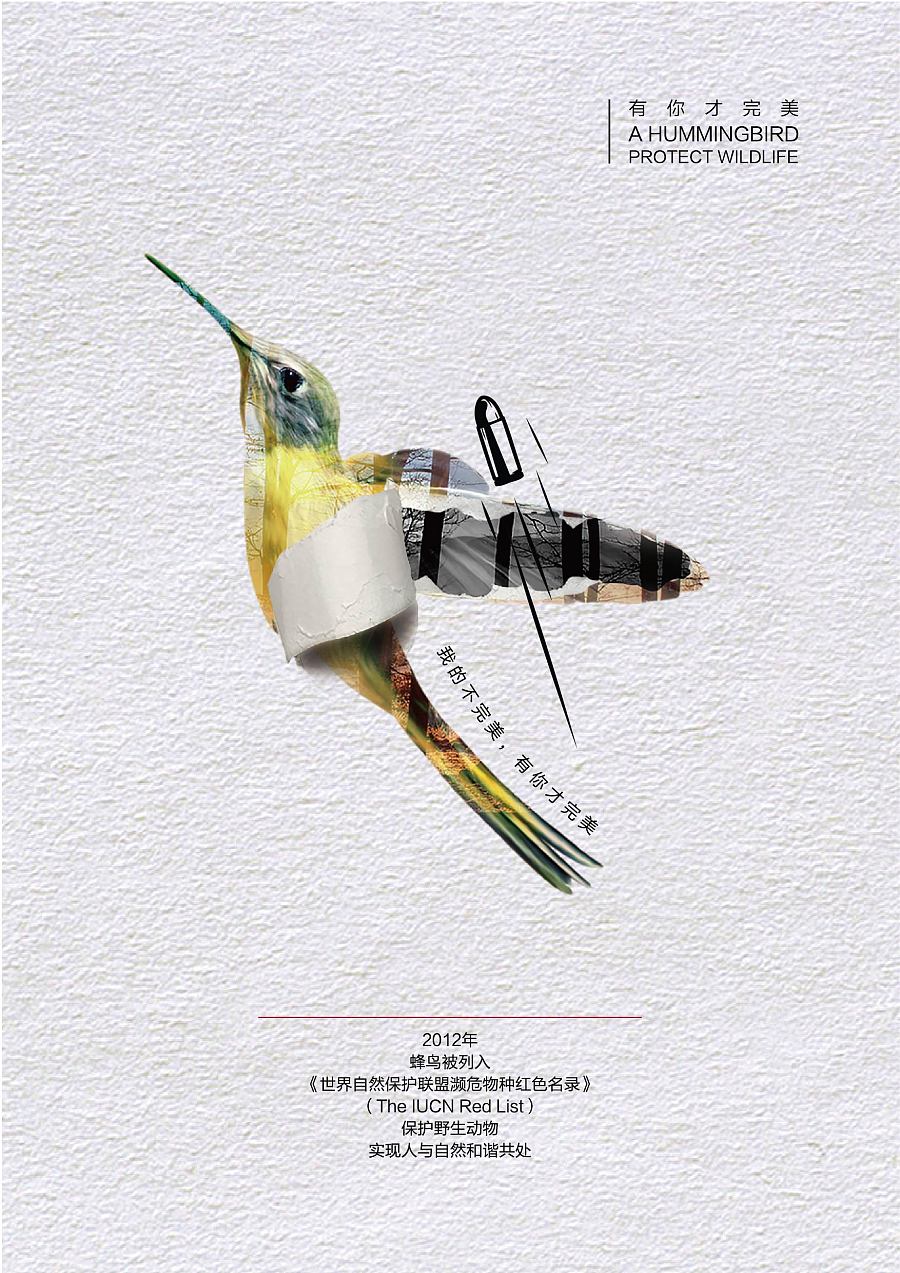 保护野生动物系列公益广告设计