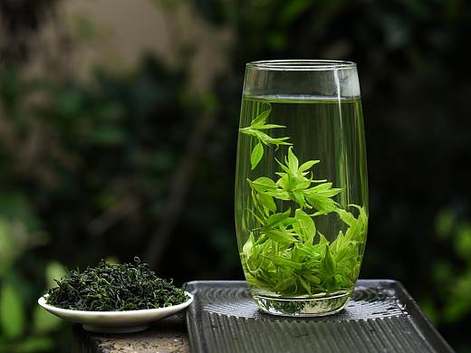苦丁茶 外景